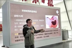 领创少年大讲堂｜走进神奇的木材世界图片