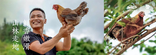 从北江到大湾区，清远为何是广东隐藏的“潮”城？