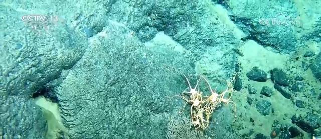 新突破！我国探秘冰海不停步 蛟龙号“硬核破冰”更有“潜力”