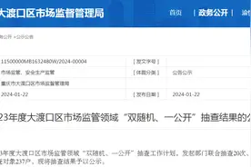 2023年度重庆市大渡口区市场监管领域“双随机、一公开”抽查结果的公示图片