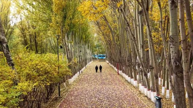 聚焦 || 银川全面入冬了？不！这里把“秋天”留下了……