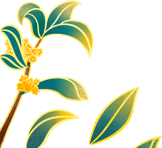 桂林10路、14 路双桂花专线上线