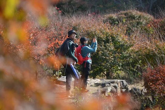 Hi走奉化① | 来栖霞坑，奔赴一场唐诗之路的千年约会吧！