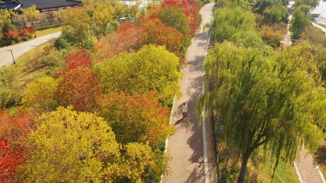 【美丽瀍河】瀍河这份秋季浪漫藏不住了！错过再等一年...