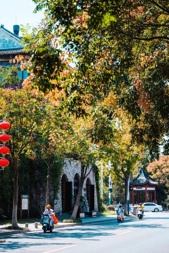 阿锡，赏秋正当时，你我皆风景！