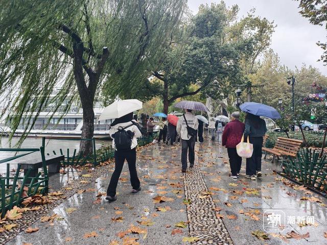 细雨+冷风，西湖边游客“盲盒式”穿衣 英国游客：和我们那儿差不多