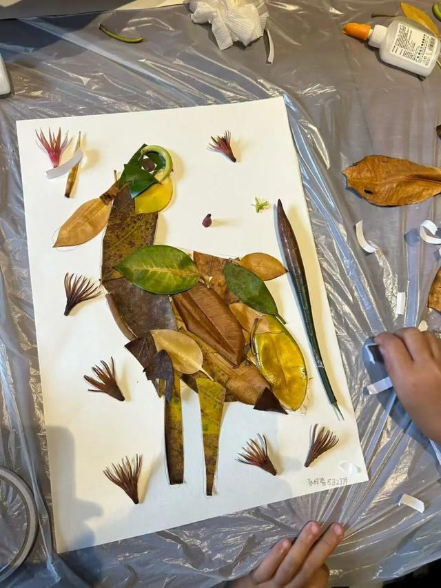 东寨港红树林研学进行时，自然课堂里的欢乐时光～