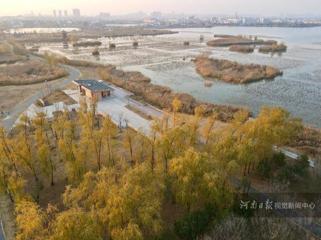 淮阳龙湖湿地冬景如画 生态保护成效显著
