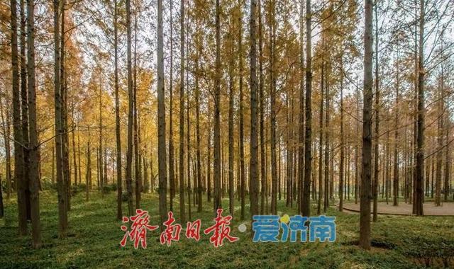 秋色不等人 速来解锁公园景区的N种玩法！