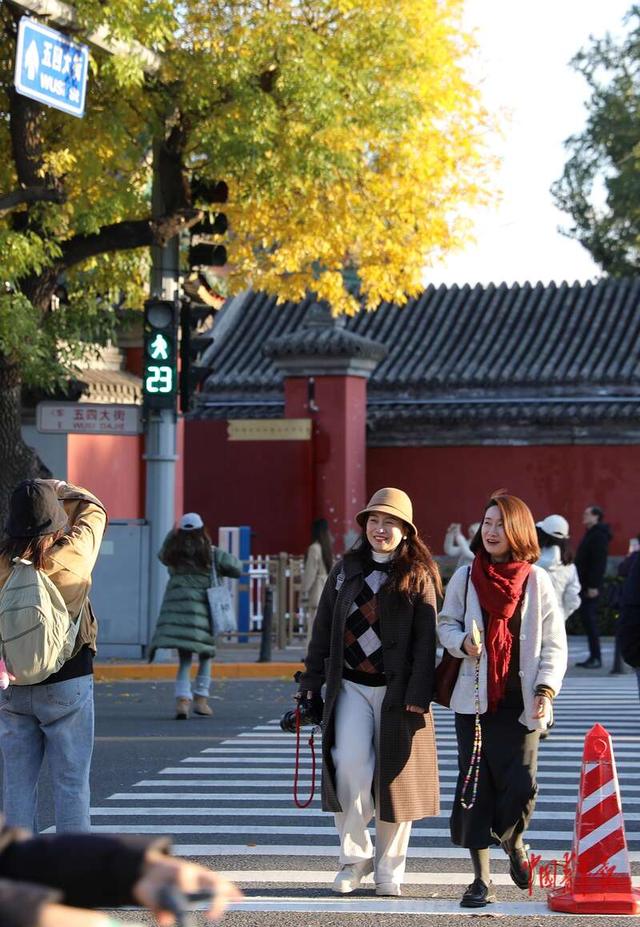 北京：年轻人在五四大街定格“秋天的童话”