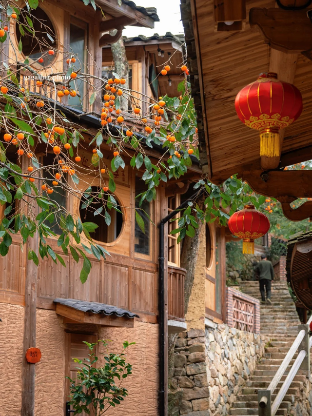 追柿归来！屏南3个古村落亲测好拍好玩好美！建议两天一夜游