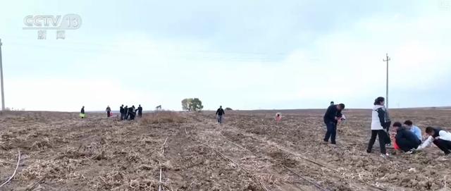 赏秋、捡秋点亮秋日文旅 别样新体验助力旅游市场持续火热
