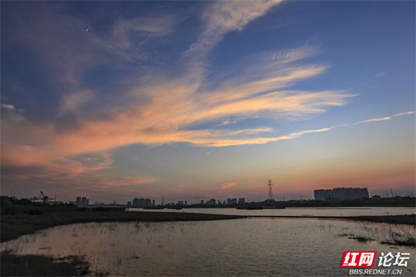 推窗何必远行？益阳十洲公园，坐收泼墨晚霞的天地馈赠
