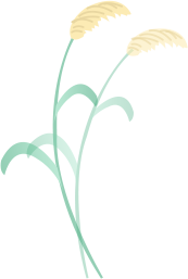 【美丽瀍河】走进霞光里的芦苇荡，聆听晚风絮语，畅游“毛茸茸”暖金花海！