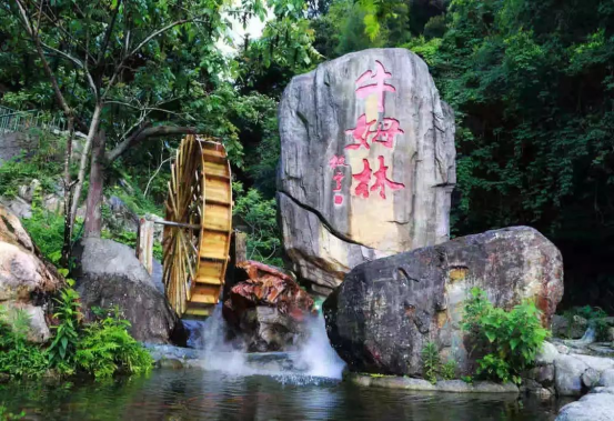 永春两天一夜漫游指南：探幽林、寻鹤拳、品醋香，解锁闽南低调“小桃源”！