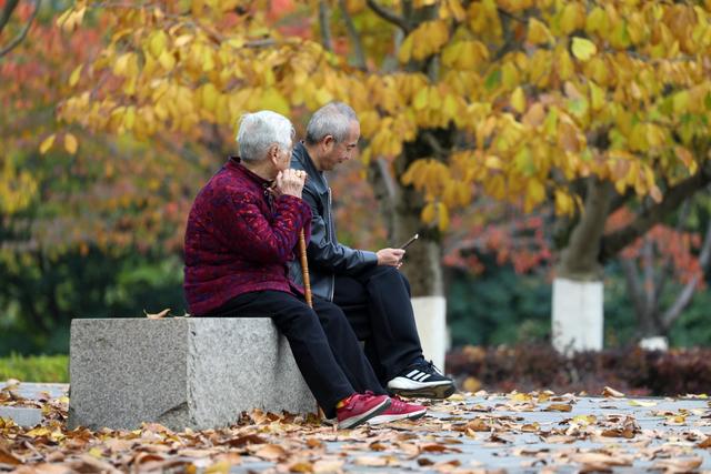 观山湖区:绿脉织城 四季变幻 绘就宜居新画卷
