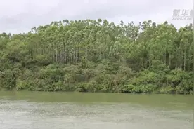 环北部湾广西水资源配置工程进入建设实施阶段图片