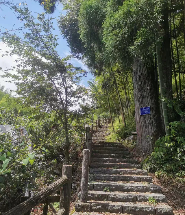 晚潮｜清晰野性的披云山