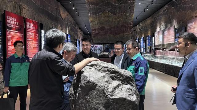 智汇镍都 赋能新程——中组部高层次专家咨询服务活动“陇上行”有色冶金和精细化工组来金侧记