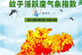 雨后记得清积水！广东多地未来一周蚊子“非常活跃”图片