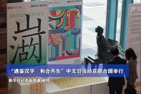 “遇鉴汉字　和合共生”中文日活动在联合国举行图片
