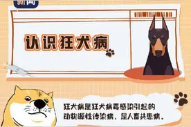 狂犬病应该怎么预防？图片