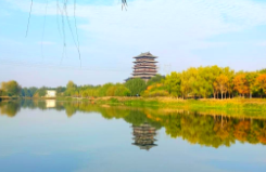 周末哪里去？这些地方全部免费！
