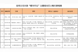 观鸥、赏枫、泡温泉...昆明公交推出35条冬游线路图片