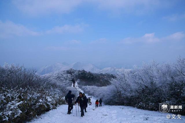 晚潮｜桐杭岗今冬第一场大雪