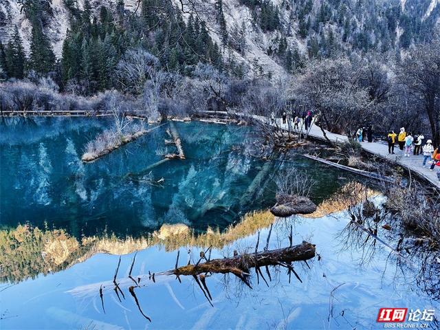 九寨沟的冬日浪漫：雪吻海子，阳光作画，太治愈了