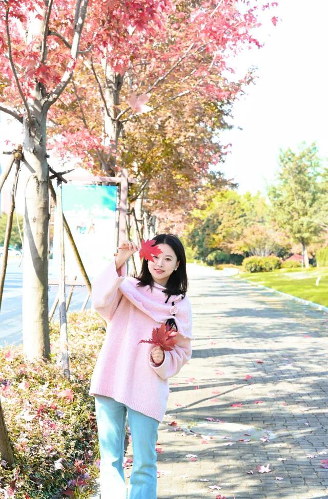 红了~红了，来宿城追“枫”！