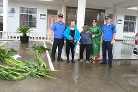 台风天老人坚持外出卖菜，上海崇明城管队员多次劝导最终将其送回图片
