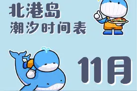 海口市北港岛11月下旬潮汐表来了！这几天最适合赶海图片