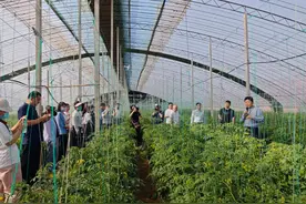 济南：给绿色农业装上科技引擎图片