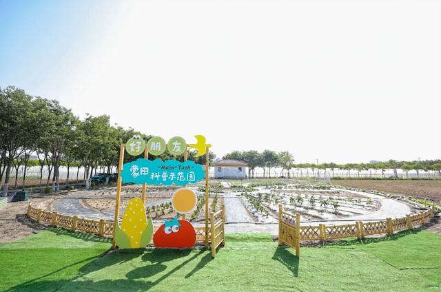 不知道去哪遛娃？来这里呀！