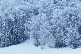 深山雪原的古老传承——毛皮滑雪板图片