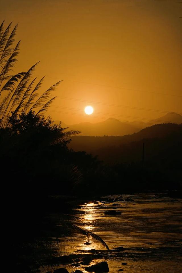 周末露营天花板，来福安“野” 一天！