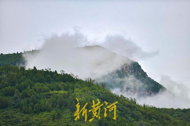 一年四季 泉在济南丨雨润泉城，南山云雾缥缈似仙境