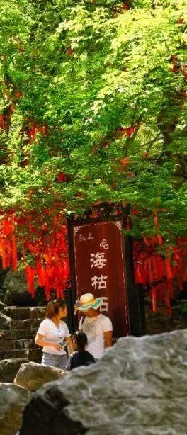 七夕，洛阳这些景区有大动作！