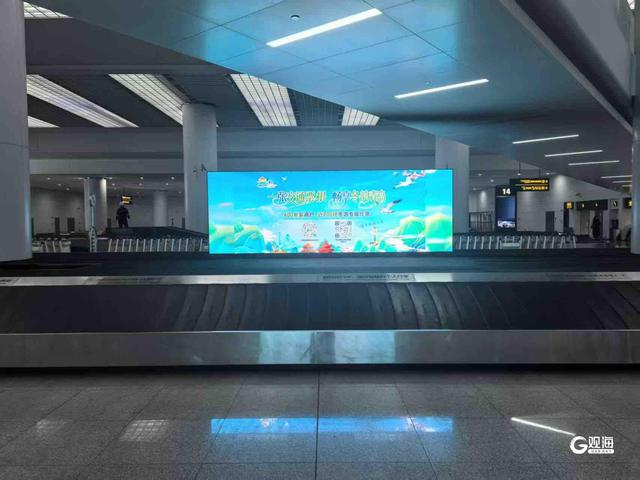 好客氛围全城拉满！一码解锁冬游青岛“交通票根”700项专属优惠