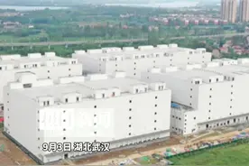 12月底启“冻”，武汉阳逻国际冷链物流产业园项目一期二期基本完工图片
