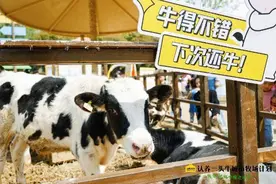 科技“含量”不足？食企IPO几乎全部折戟沪深两市图片