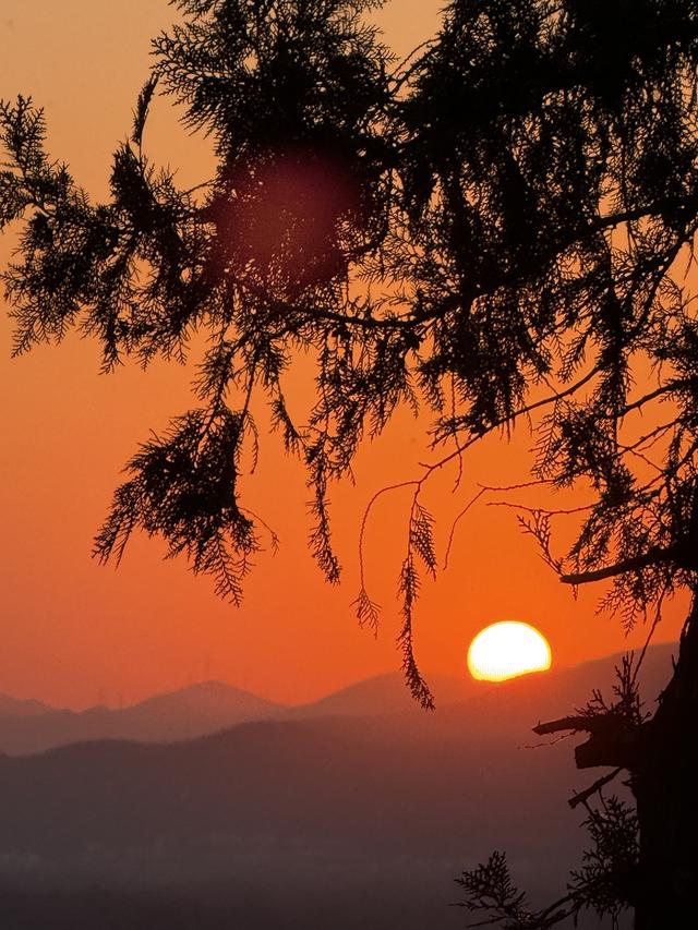 仿佛镀上了一层金色的光，北京冬至日邂逅最美夕阳