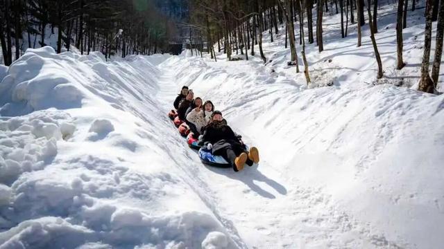 这个冬天，别再“猫冬”啦！300米超长滑道，来这开启嬉冰赏景的雪上之旅