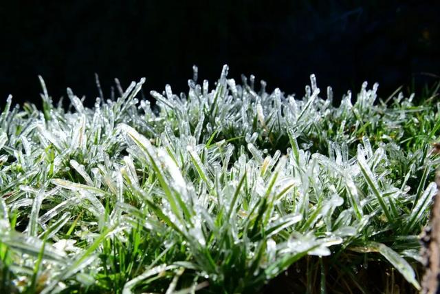 【丽江分享】冬至时节，丽江这些玉雕冰挂， 晶莹剔透如钻石！