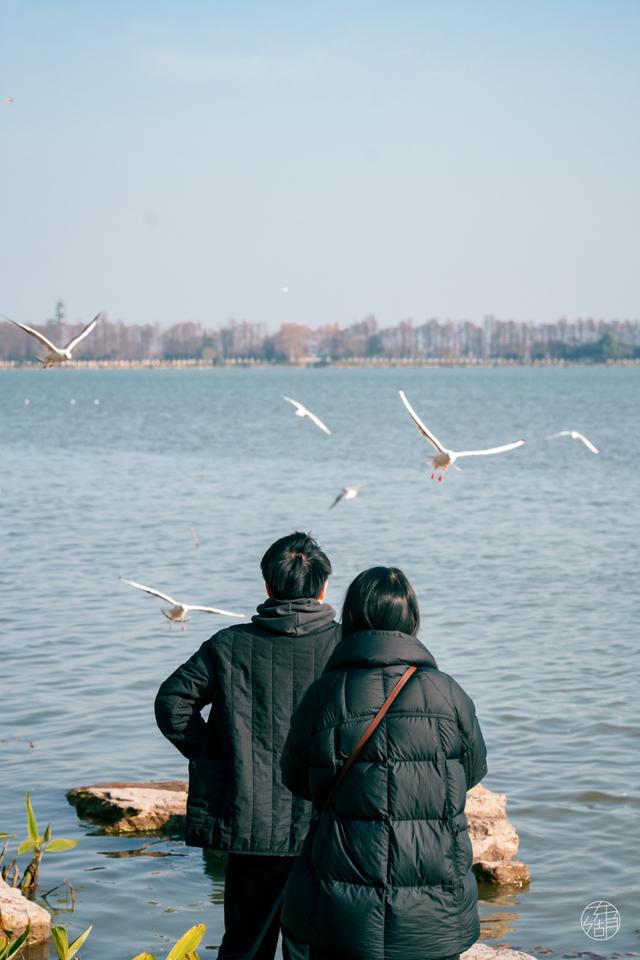 来东湖追鸥，这份私藏待办清单，请收好！