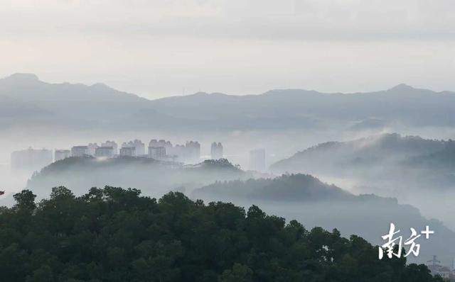 重阳登高，阳东哪座山最让你心驰神往？