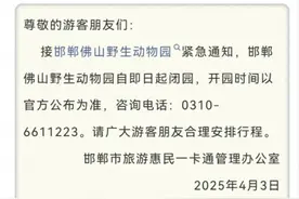 小心“熊出没”，网传邯郸一动物园有熊出逃，官方：属实，正在处理图片