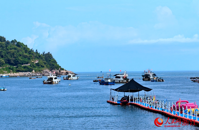 之江封面⑳丨温州苍南：这里有条“黄金”路