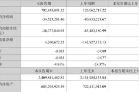 众信旅游：2023年上半年亏损3452.33万元图片